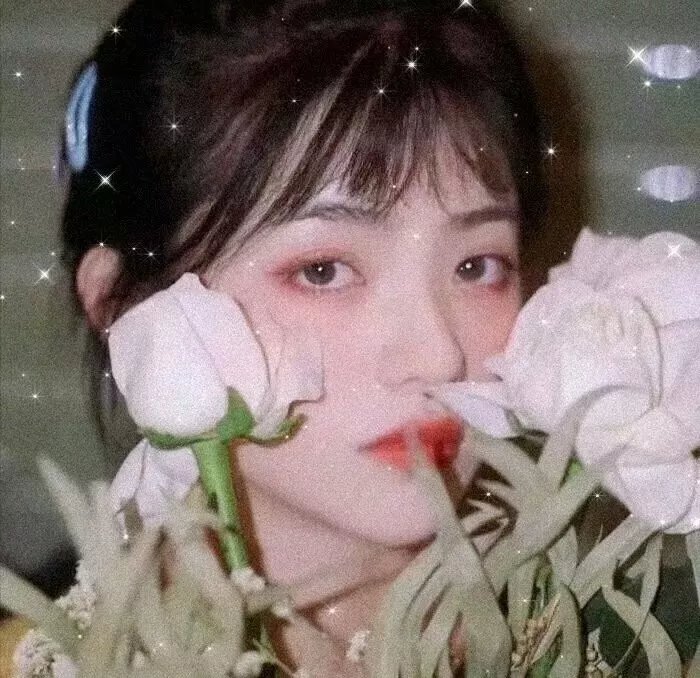 赛马娘芦毛灰姑娘