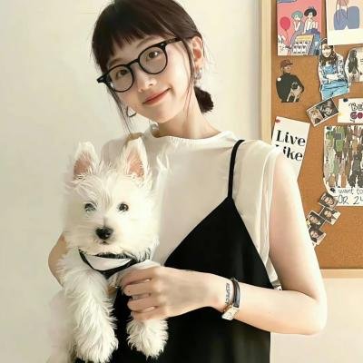 速度与激情